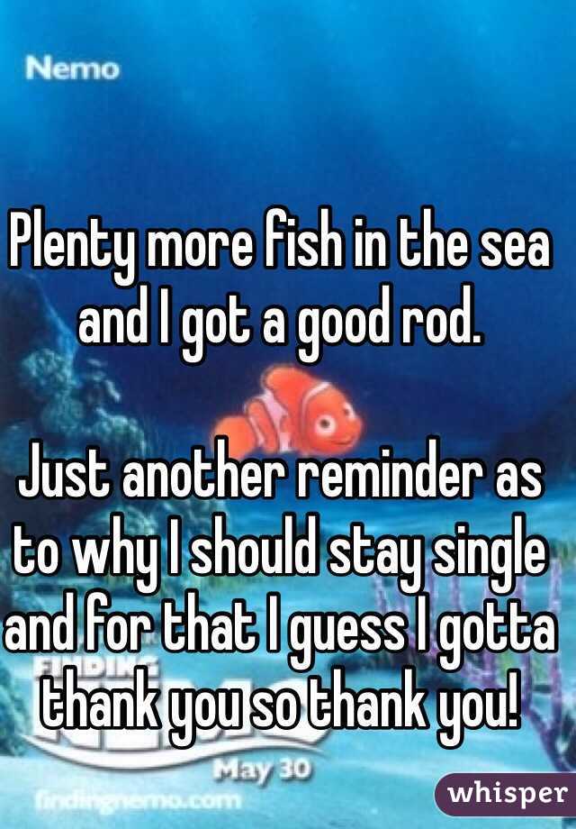 Plenty more fish in the sea and I got a good rod.

Just another reminder as to why I should stay single and for that I guess I gotta thank you so thank you!