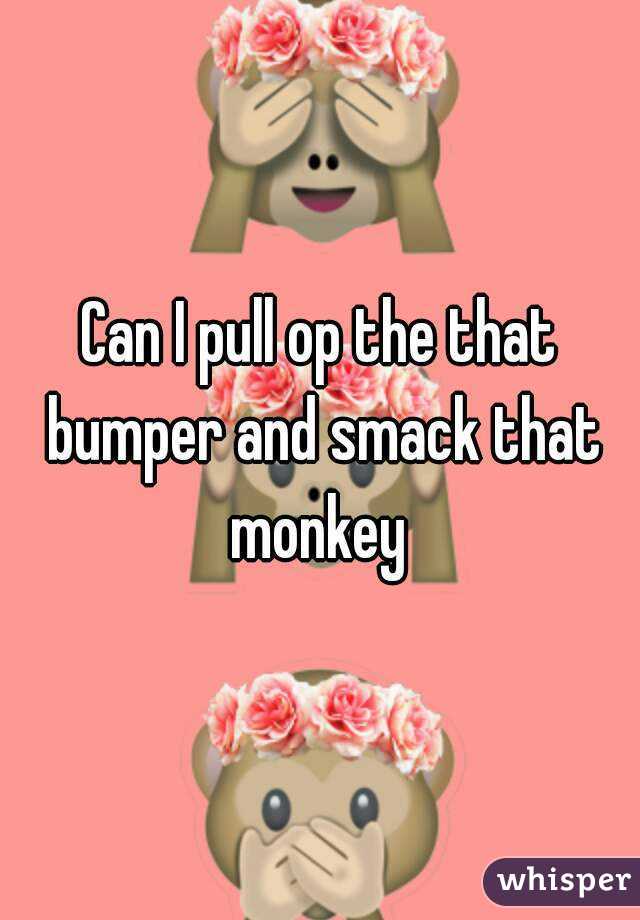 Can I pull op the that bumper and smack that monkey 