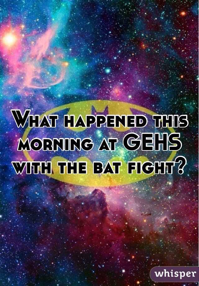 What happened this morning at GEHS with the bat fight?