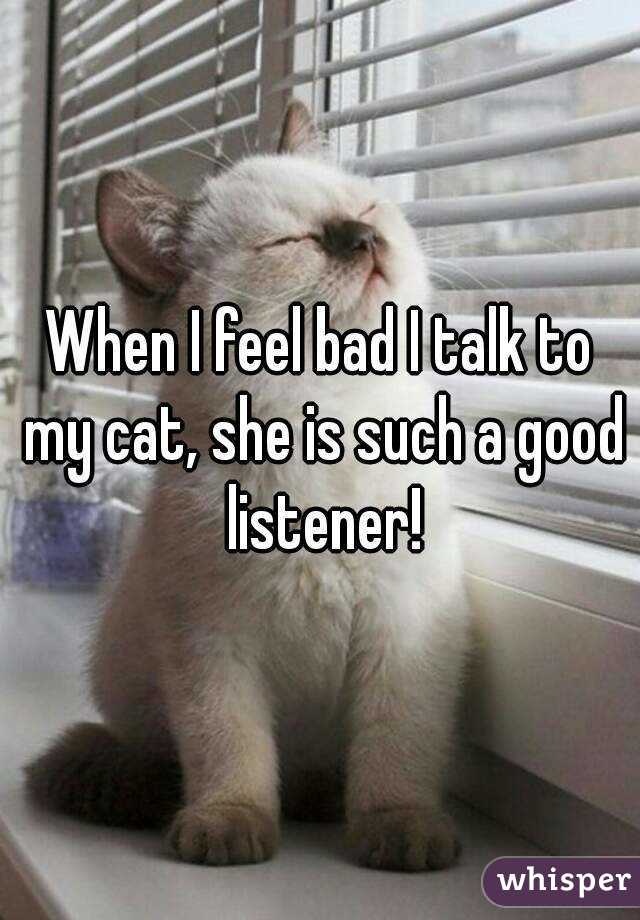 When I feel bad I talk to my cat, she is such a good listener!