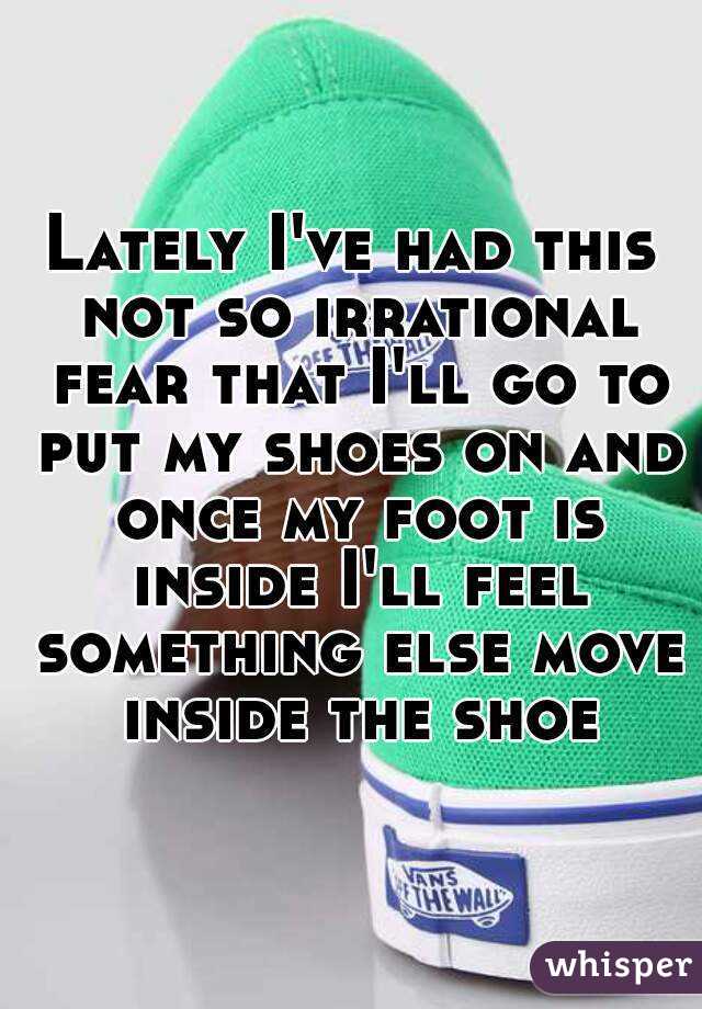Lately I've had this not so irrational fear that I'll go to put my shoes on and once my foot is inside I'll feel something else move inside the shoe
