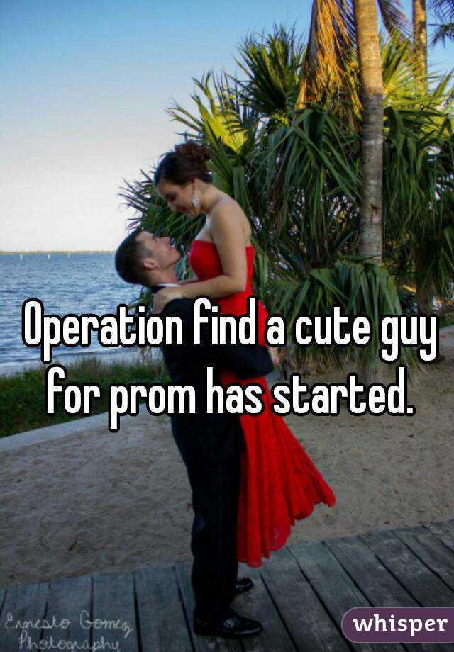 Operation find a cute guy for prom has started. 