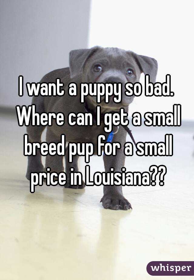 I want a puppy so bad. Where can I get a small breed pup for a small price in Louisiana??