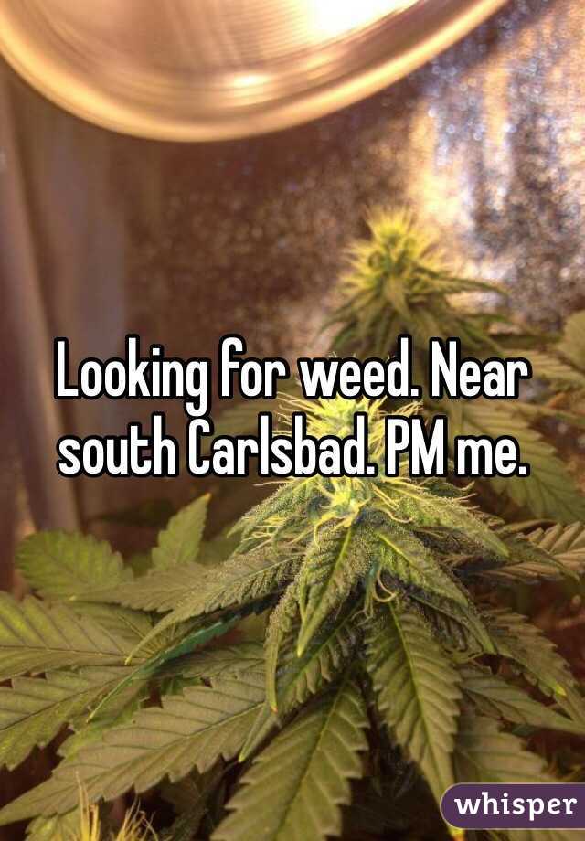 Looking for weed. Near south Carlsbad. PM me.