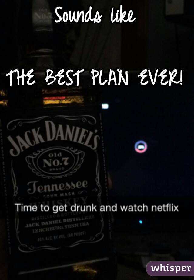 Sounds like

THE BEST PLAN EVER!