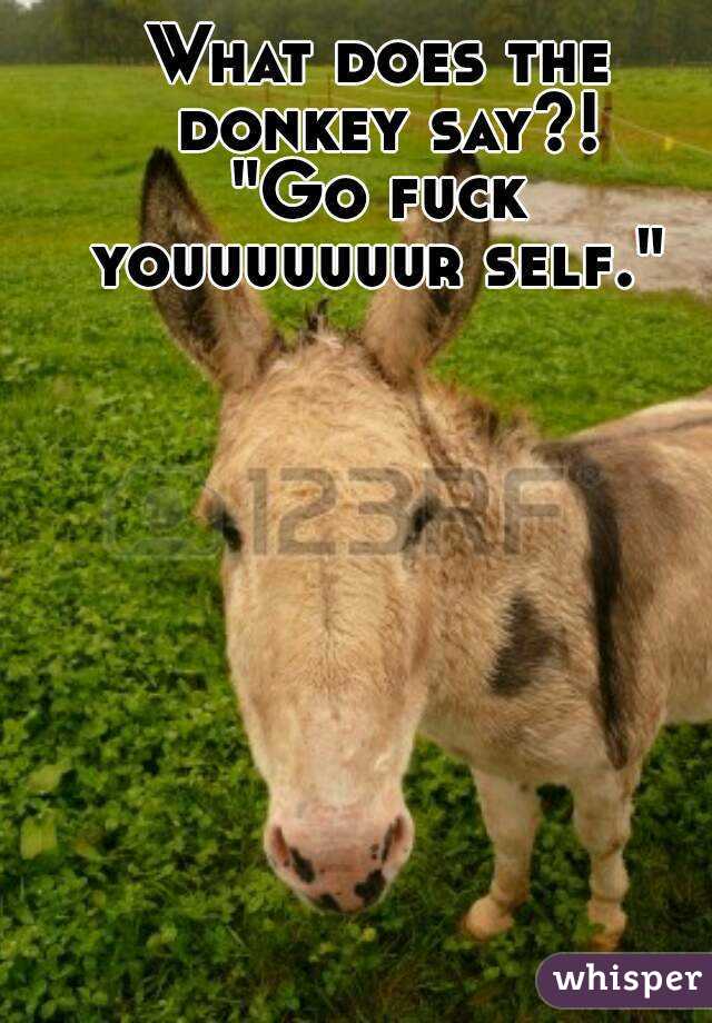 What does the donkey say?!
"Go fuck youuuuuuur self." 