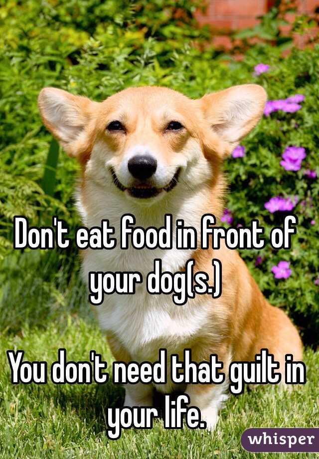 Don't eat food in front of your dog(s.) 

You don't need that guilt in your life. 
