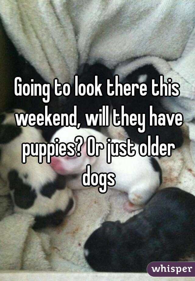 Going to look there this weekend, will they have puppies? Or just older dogs