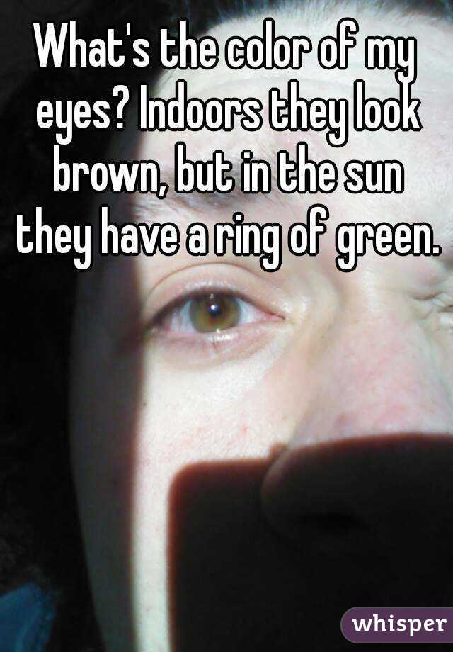 What's the color of my eyes? Indoors they look brown, but in the sun they have a ring of green.