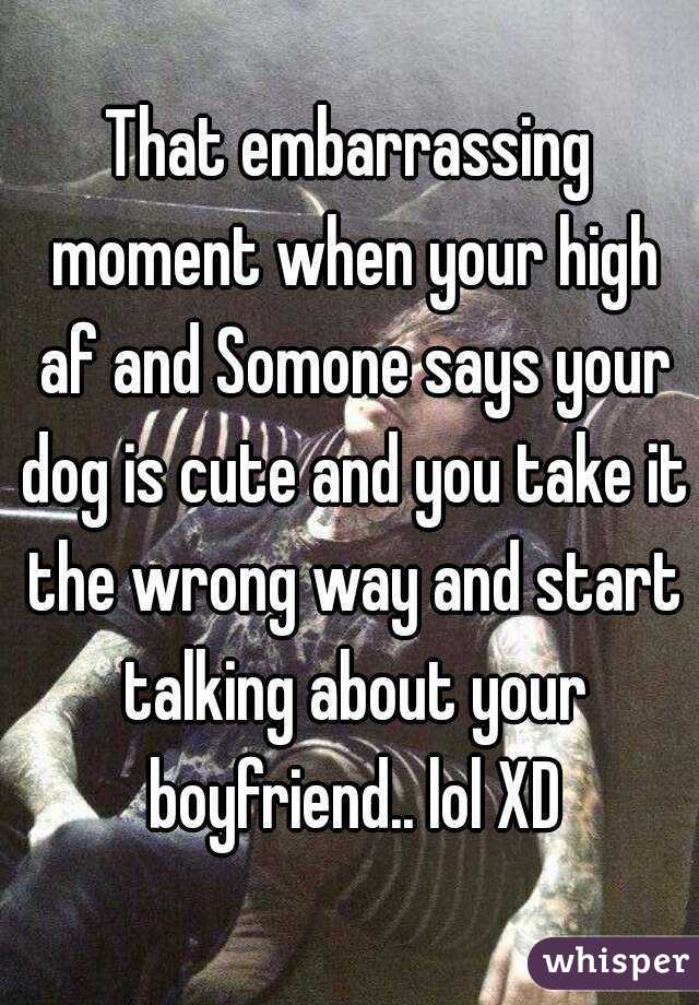 That embarrassing moment when your high af and Somone says your dog is cute and you take it the wrong way and start talking about your boyfriend.. lol XD