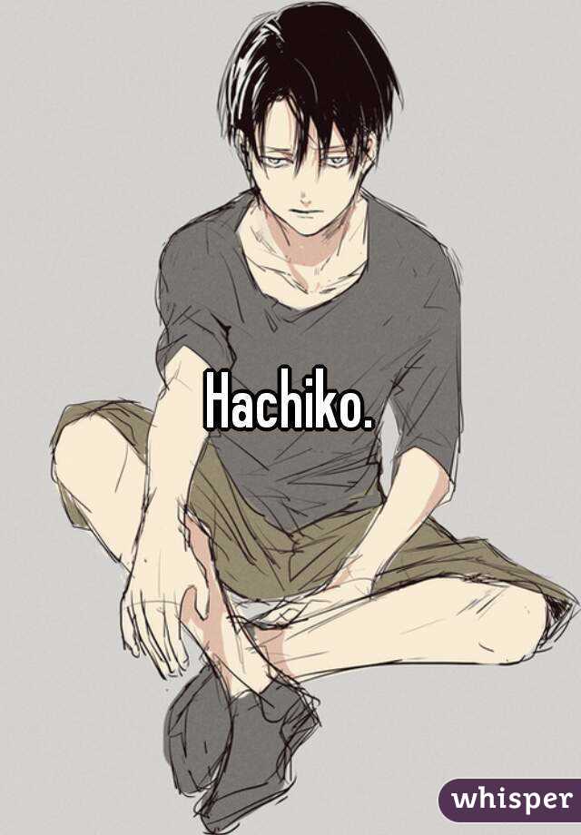 Hachiko.