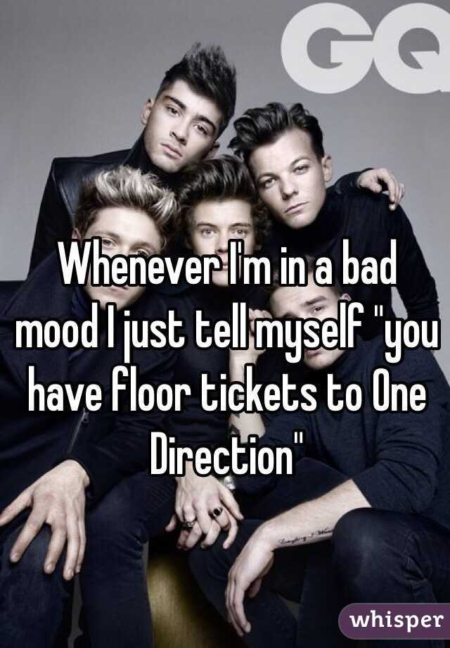 Whenever I'm in a bad mood I just tell myself "you have floor tickets to One Direction"