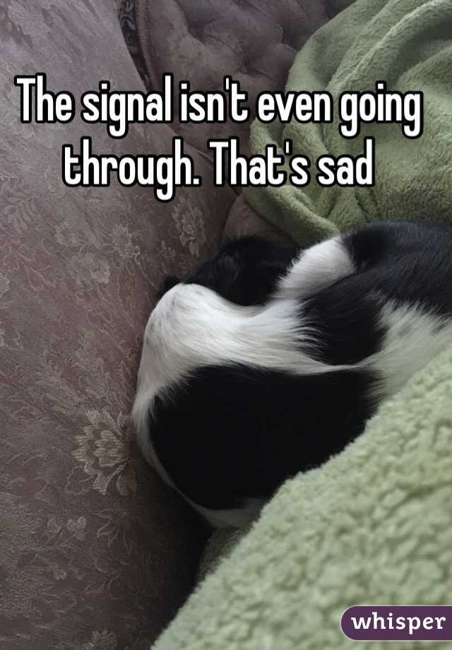 The signal isn't even going through. That's sad