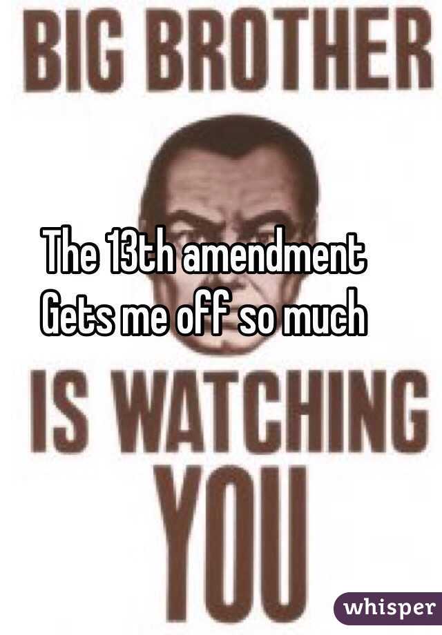 The 13th amendment 
Gets me off so much 