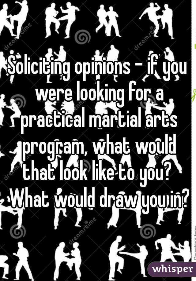 Soliciting opinions - if you were looking for a practical martial arts program, what would that look like to you?  What would draw you in?