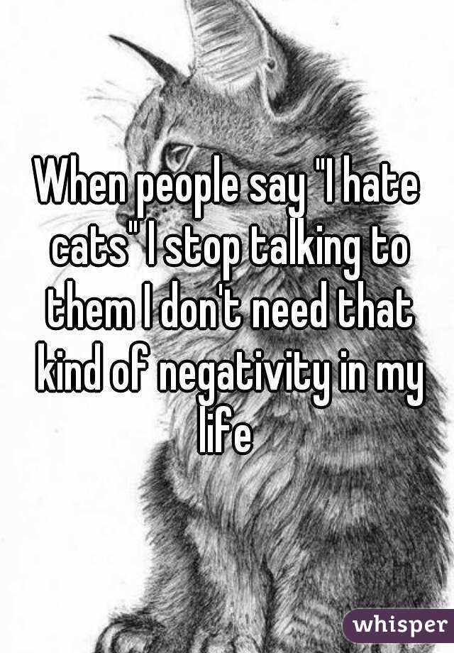 When people say "I hate cats" I stop talking to them I don't need that kind of negativity in my life 