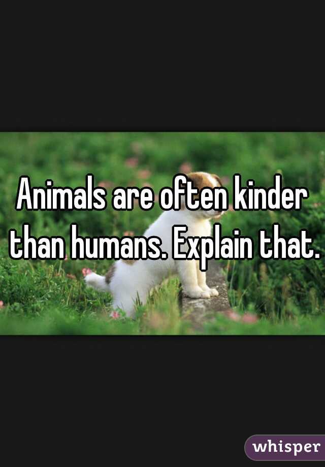 Animals are often kinder than humans. Explain that.