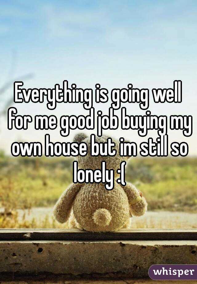 Everything is going well for me good job buying my own house but im still so lonely :(