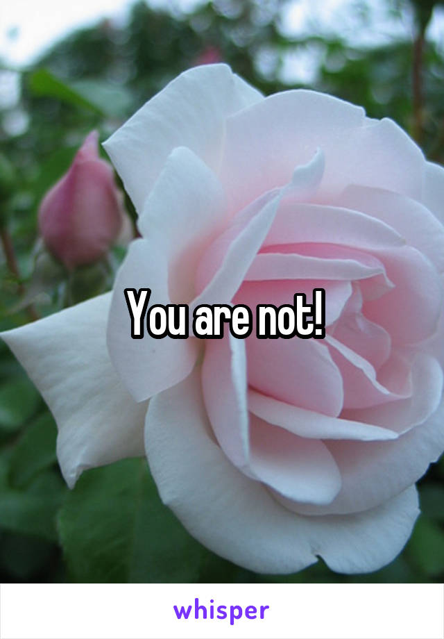 You are not!