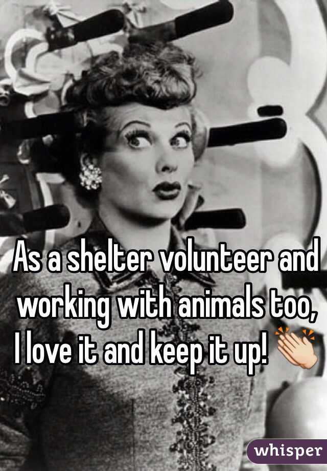 As a shelter volunteer and working with animals too, I love it and keep it up! 👏