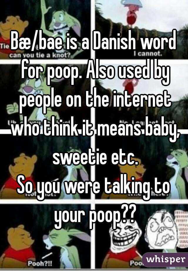 Bæ/bae is a Danish word for poop. Also used by people on the internet who think it means baby, sweetie etc.
So you were talking to your poop??