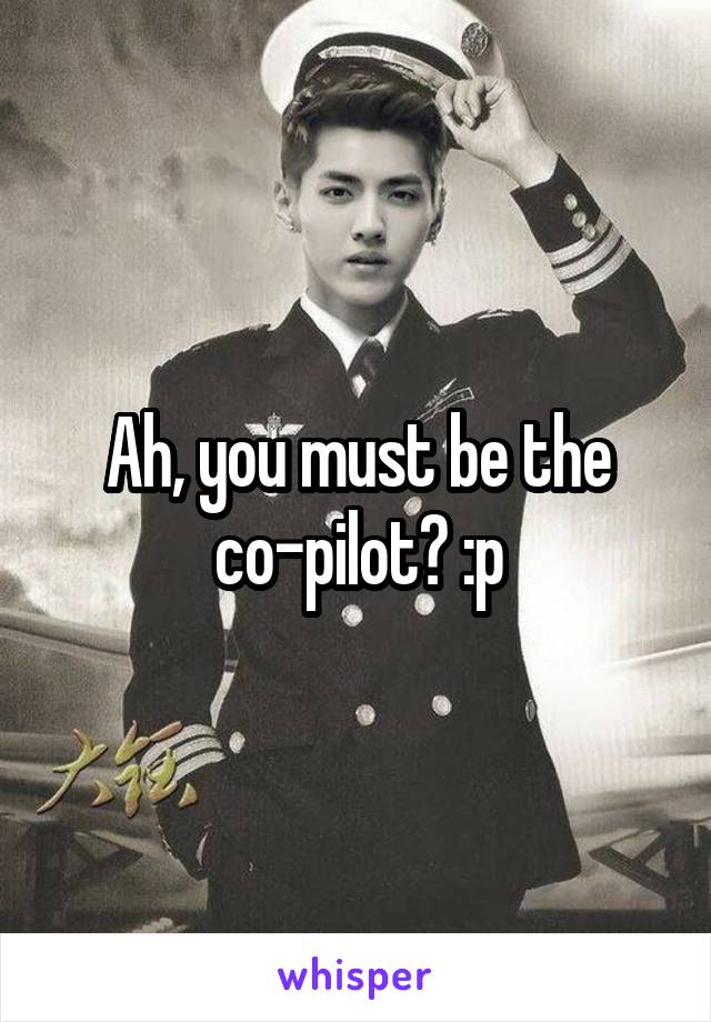 Ah, you must be the co-pilot? :p