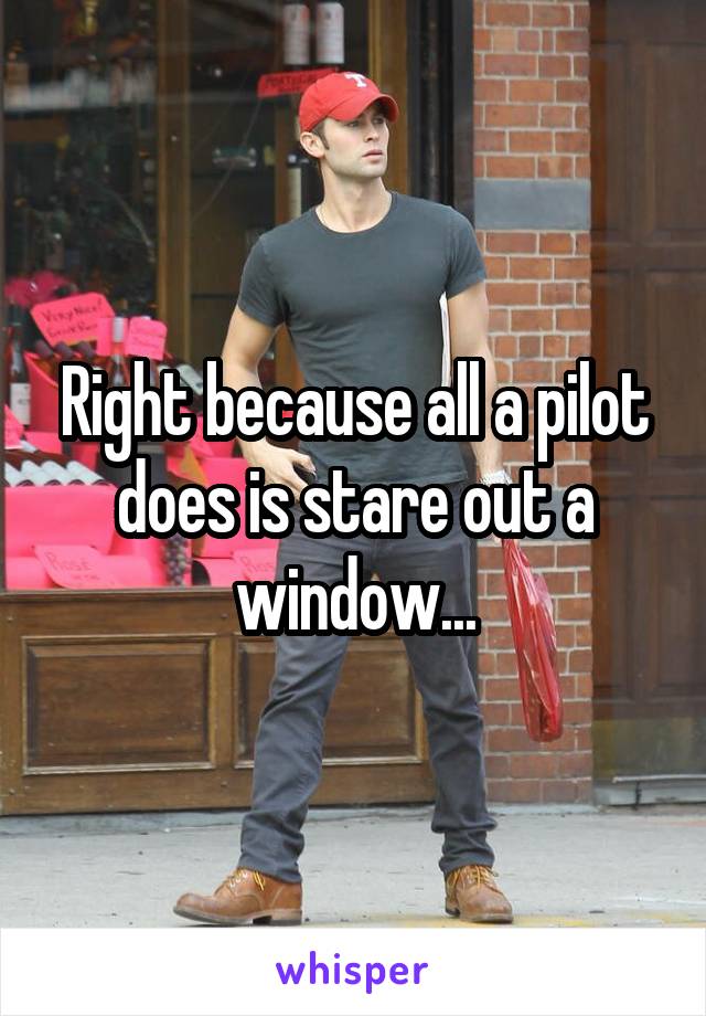 Right because all a pilot does is stare out a window...