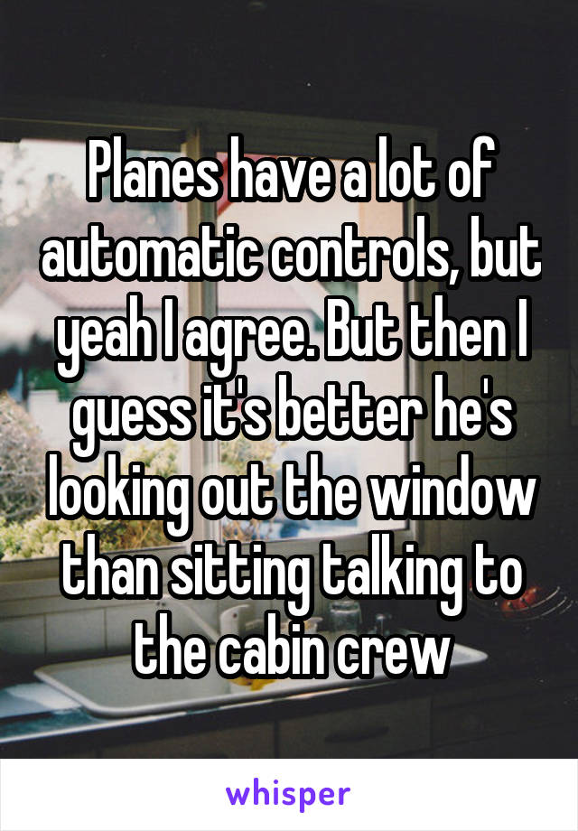 Planes have a lot of automatic controls, but yeah I agree. But then I guess it's better he's looking out the window than sitting talking to the cabin crew