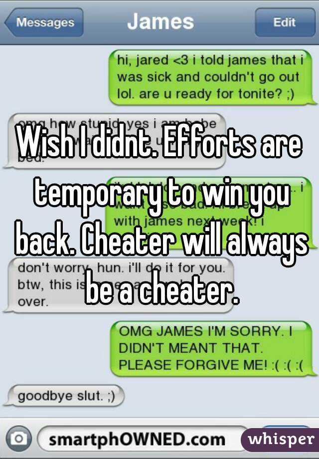 Wish I didnt. Efforts are temporary to win you back. Cheater will always be a cheater.