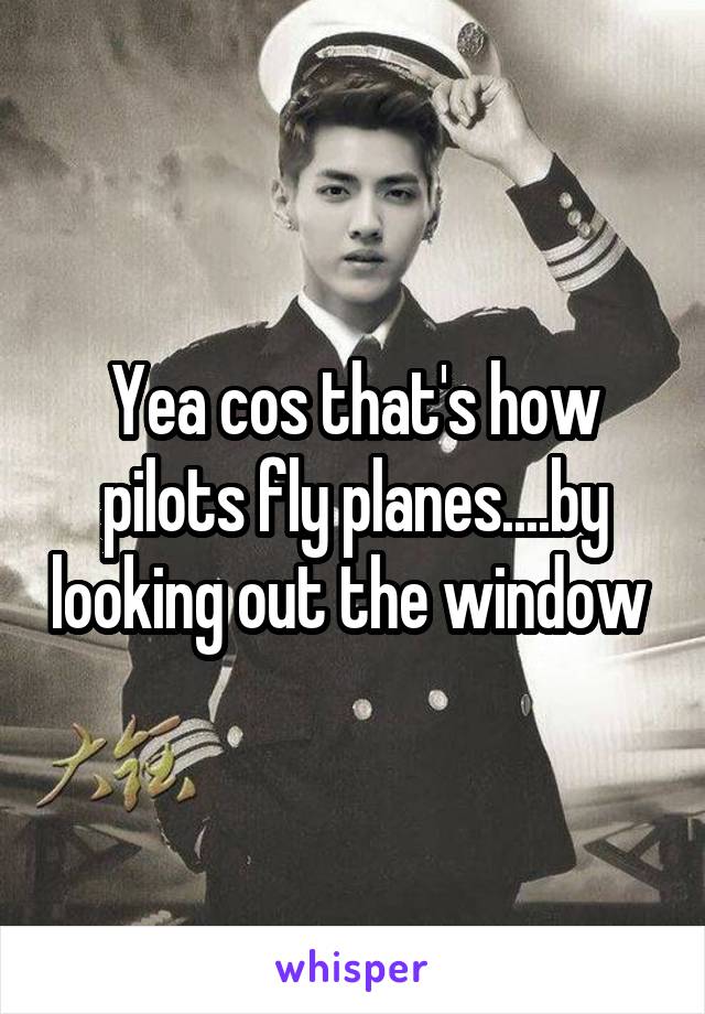 Yea cos that's how pilots fly planes....by looking out the window 