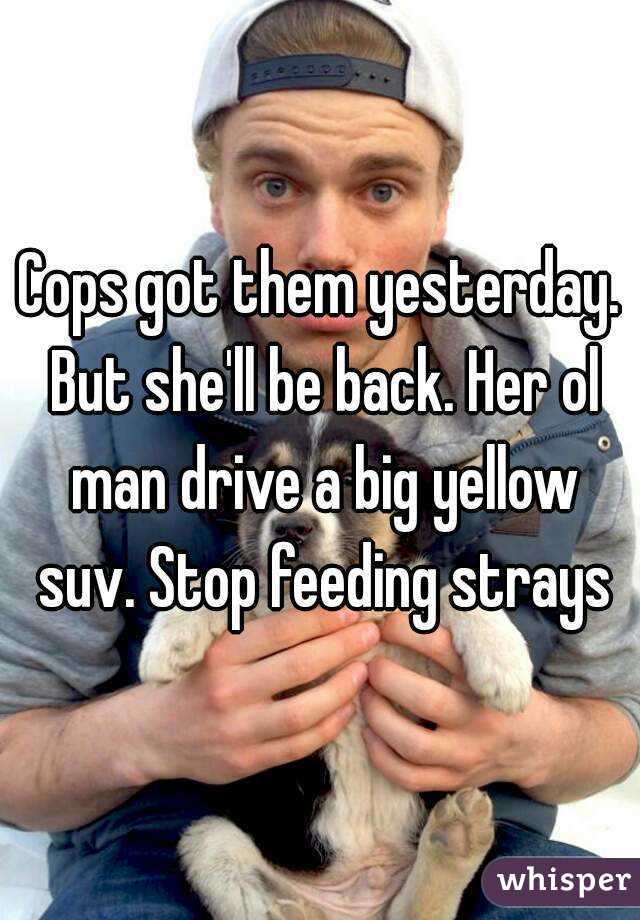 Cops got them yesterday. But she'll be back. Her ol man drive a big yellow suv. Stop feeding strays