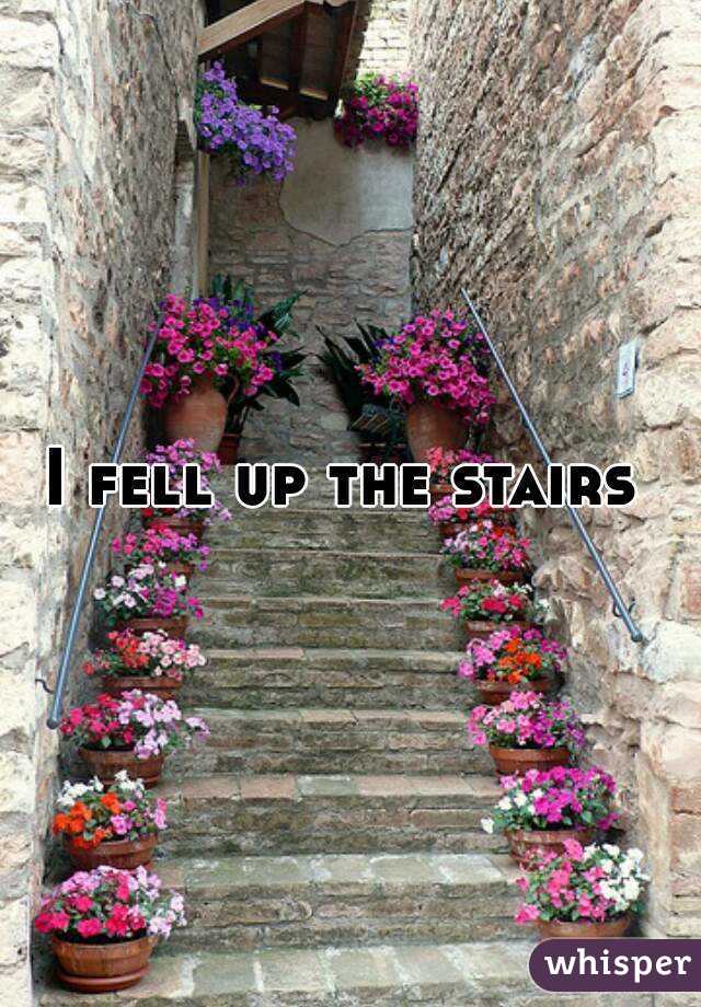 I fell up the stairs 