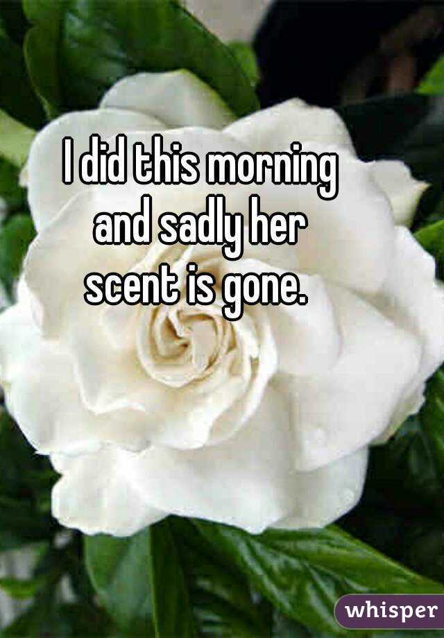 I did this morning
 and sadly her 
scent is gone. 