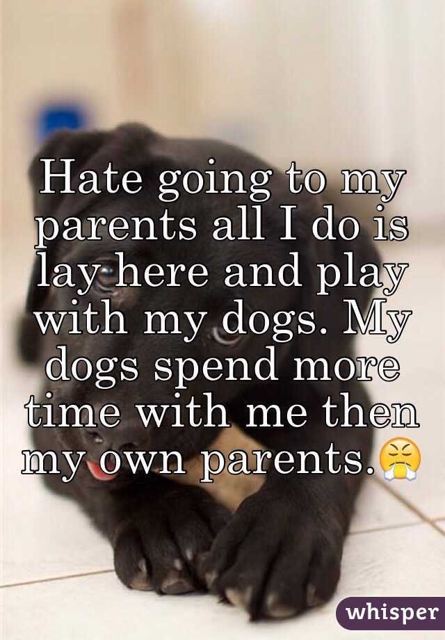 Hate going to my parents all I do is lay here and play with my dogs. My dogs spend more time with me then my own parents.😤