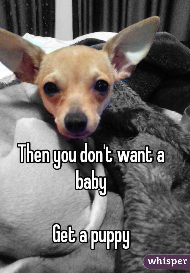 Then you don't want a baby

Get a puppy