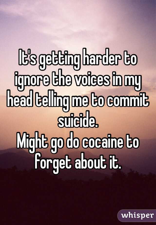 It's getting harder to ignore the voices in my head telling me to commit suicide.
Might go do cocaine to forget about it.
