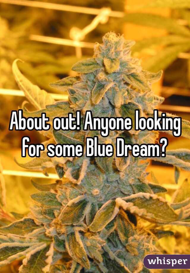 About out! Anyone looking for some Blue Dream?