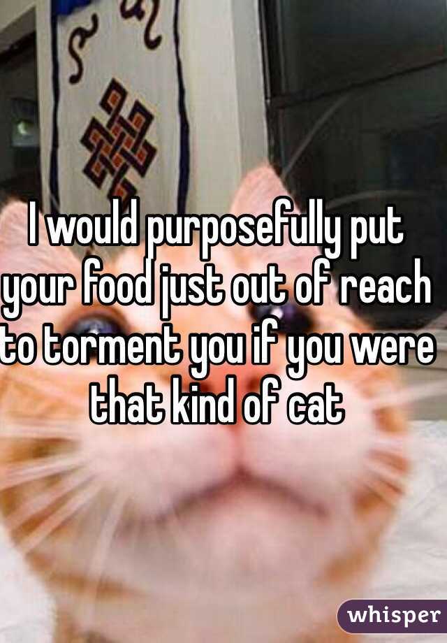 I would purposefully put your food just out of reach to torment you if you were that kind of cat