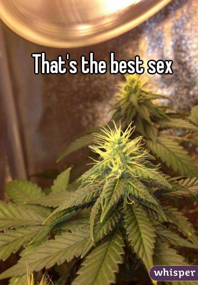 That's the best sex