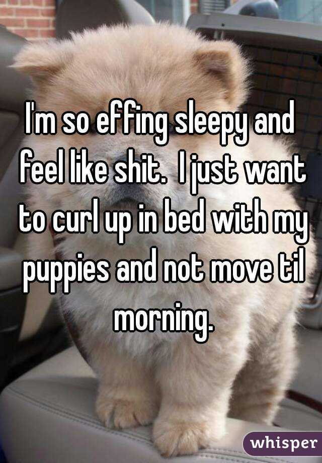 I'm so effing sleepy and feel like shit.  I just want to curl up in bed with my puppies and not move til morning.