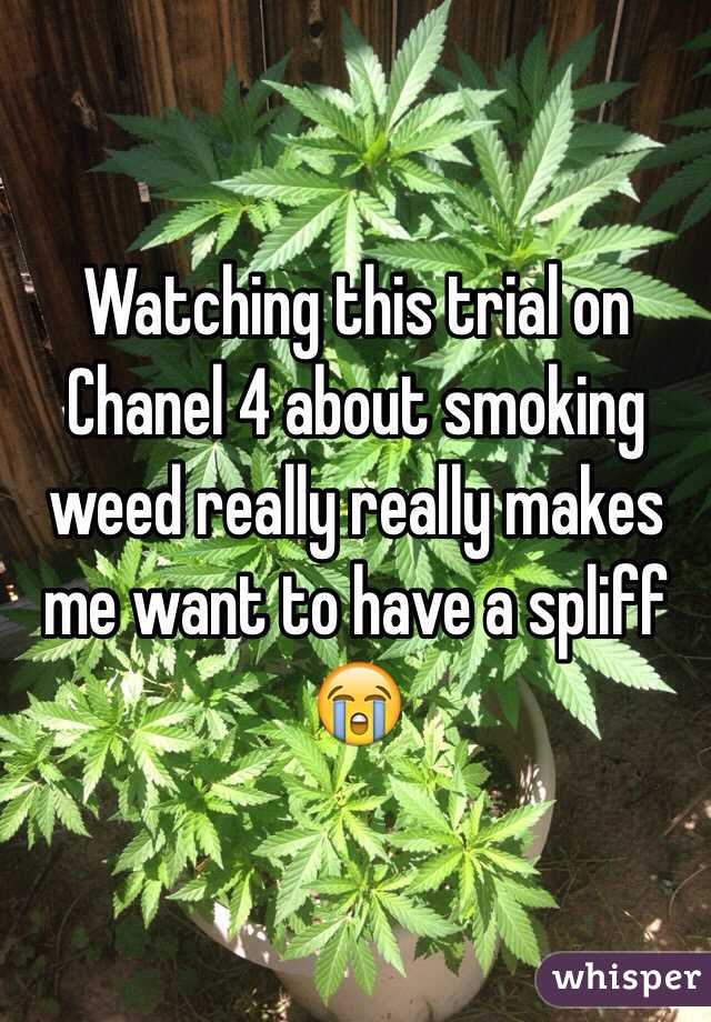 Watching this trial on Chanel 4 about smoking weed really really makes me want to have a spliff 😭