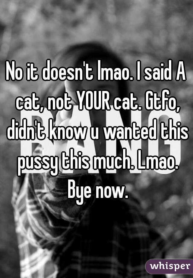 No it doesn't lmao. I said A cat, not YOUR cat. Gtfo, didn't know u wanted this pussy this much. Lmao. Bye now.