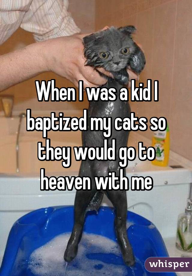 When I was a kid I baptized my cats so they would go to heaven with me