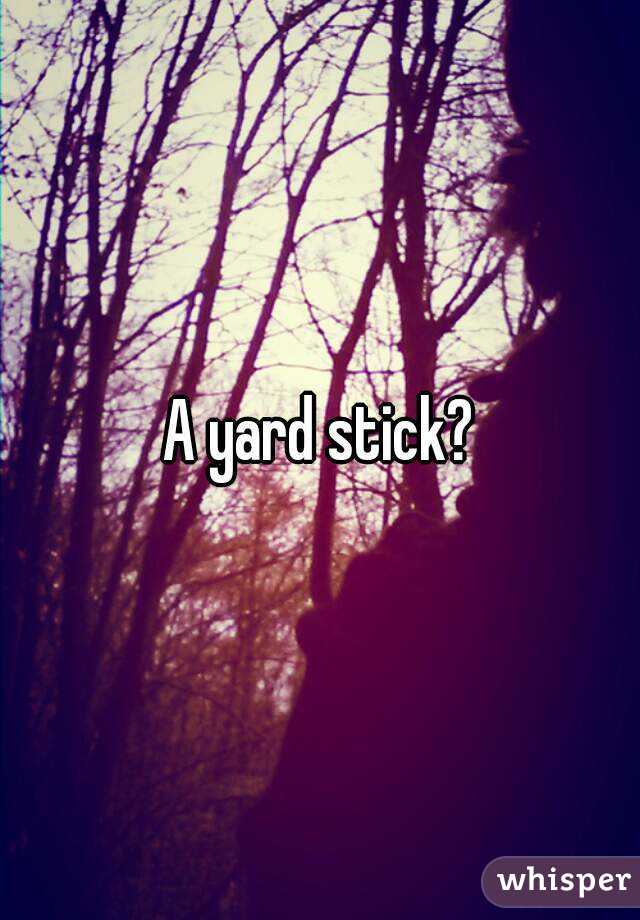 A yard stick?