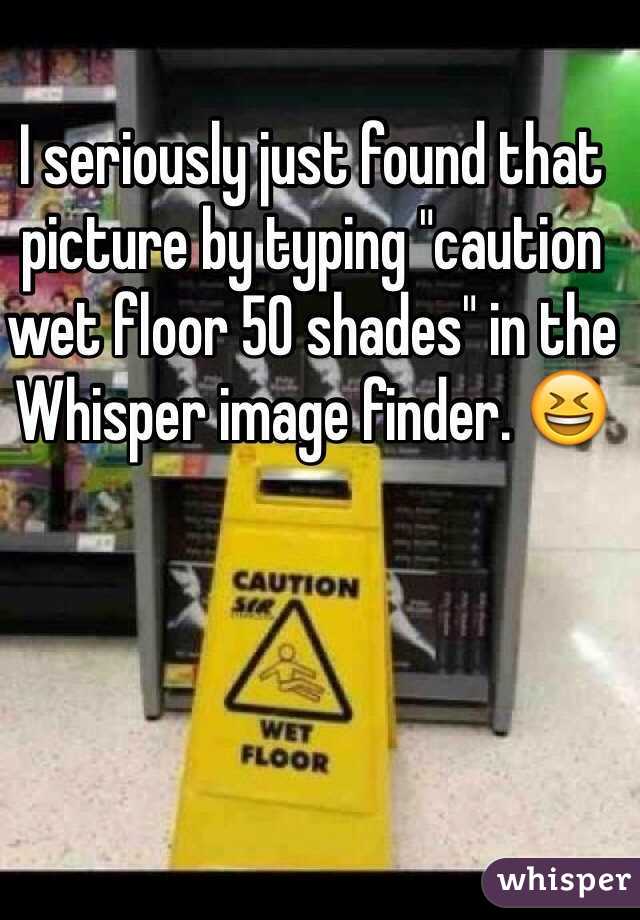 I seriously just found that picture by typing "caution wet floor 50 shades" in the Whisper image finder. 😆