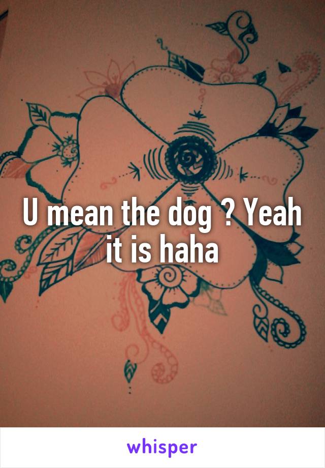 U mean the dog ? Yeah it is haha