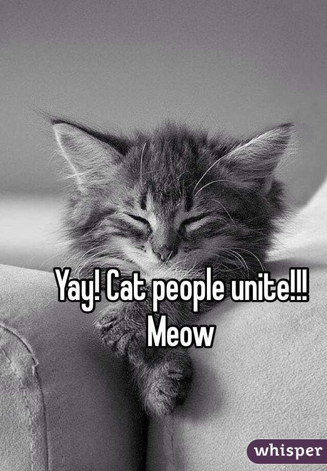 Yay! Cat people unite!!!
Meow