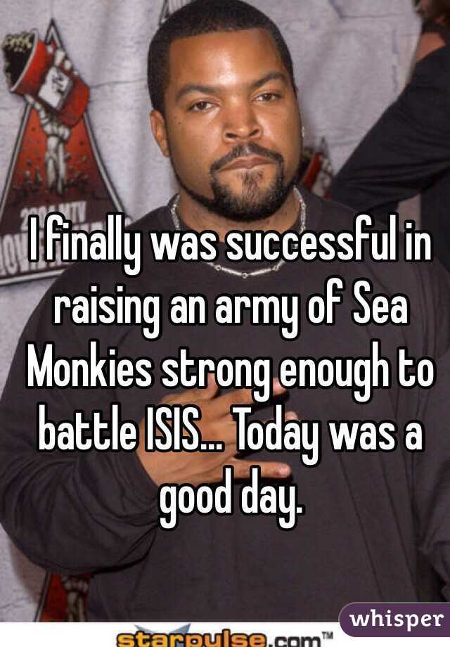 I finally was successful in raising an army of Sea Monkies strong enough to battle ISIS... Today was a good day.