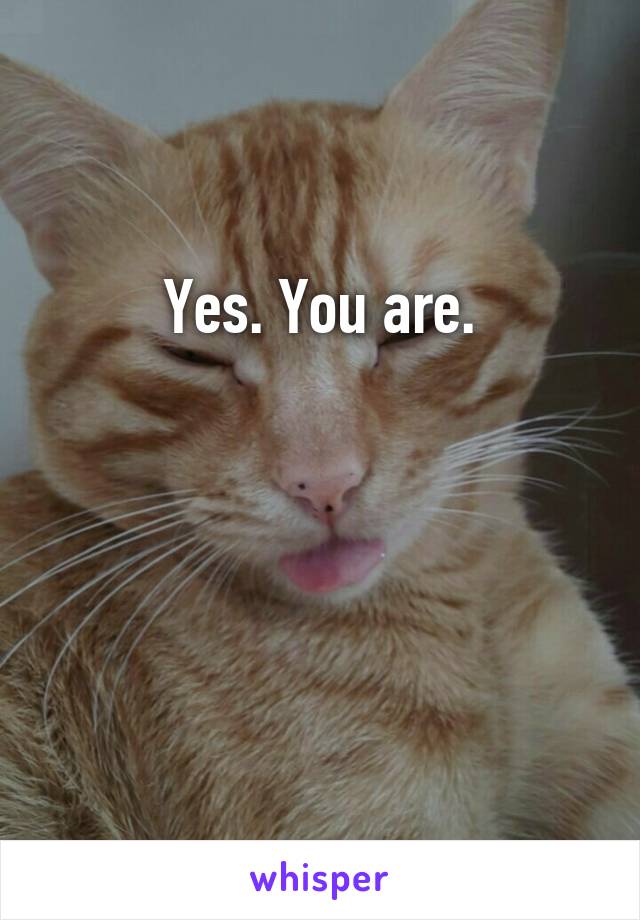 Yes. You are.



