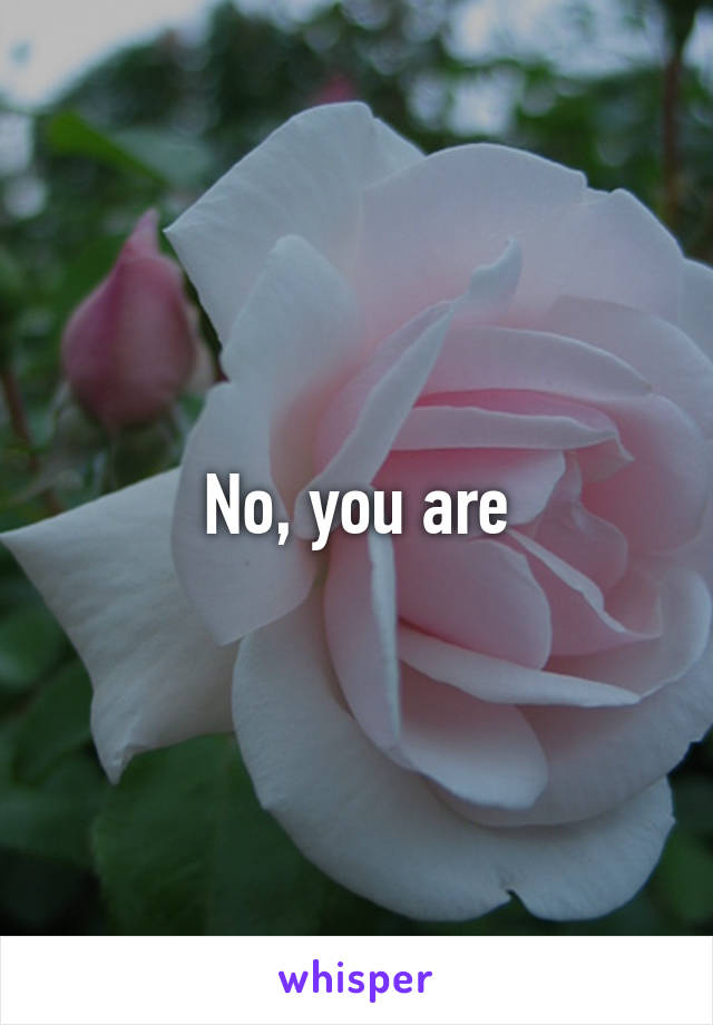 No, you are